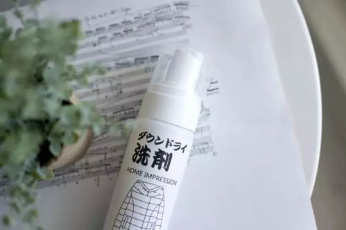 日本羽絨服干洗劑 輕松一噴，污漬瞬間消失，干洗新革命